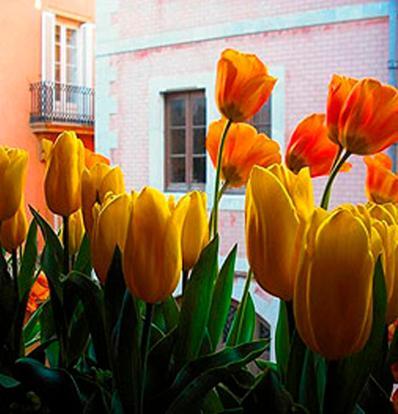 Boutique Hotel Davallada- Adults Only Sitges Exterior foto